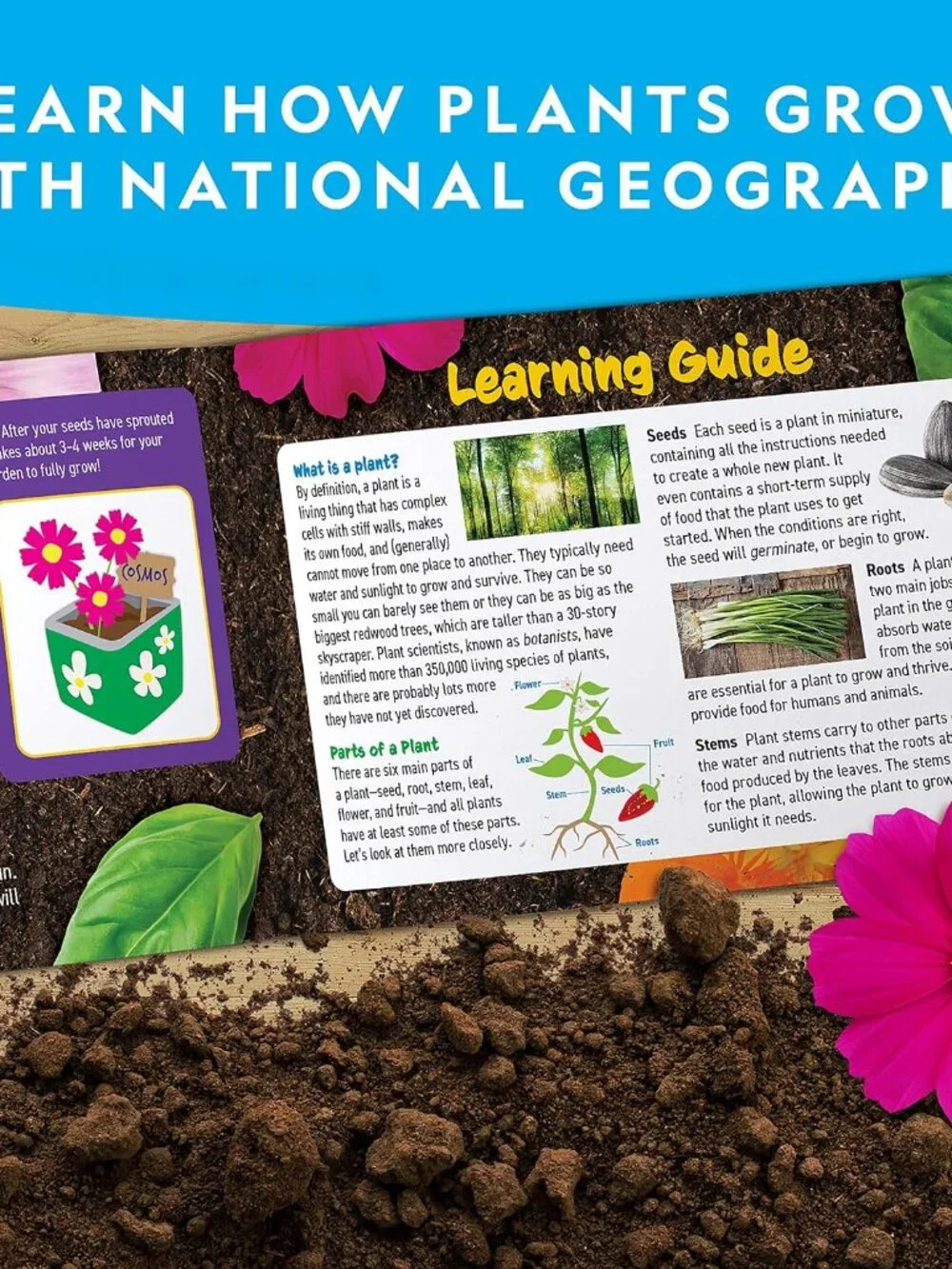 New National Geographic Flower and Herb Gardening Activity Kit for Kids Indoor O